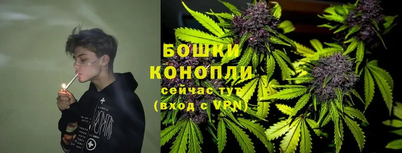 Шишки марихуана Bruce Banner  как найти наркотики  Трубчевск 